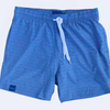 Men's Seaside Lined Swim Trunks