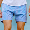 Men's Seaside Lined Swim Trunks