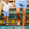 Men's Seaside Lined Swim Trunks