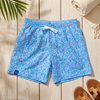 Men's Boca Lined Swim Trunks